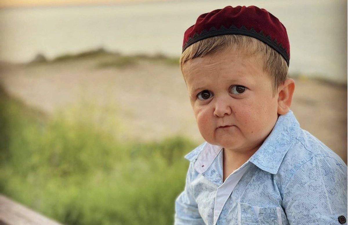 Ale Leisz tweet media