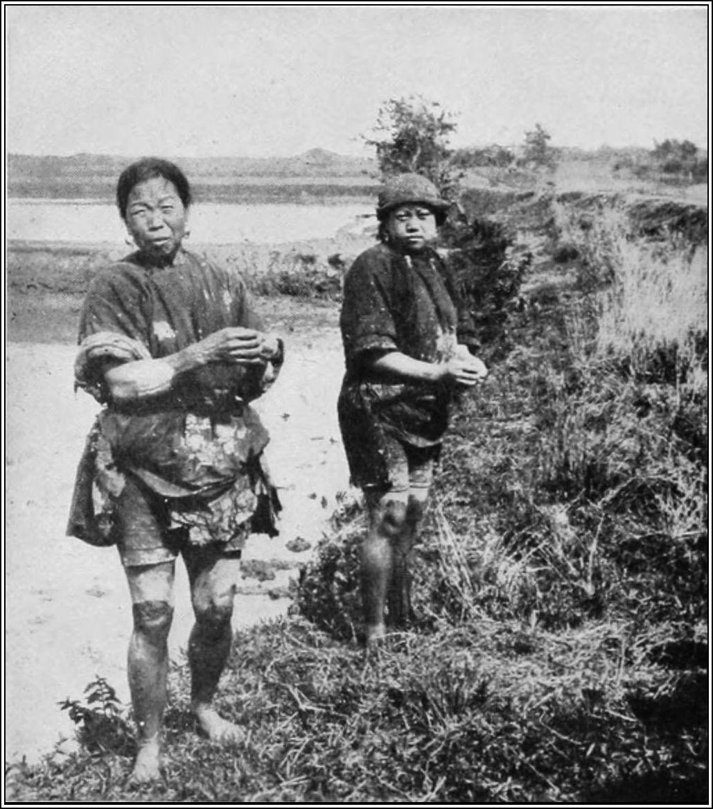 영원하라 tweet media