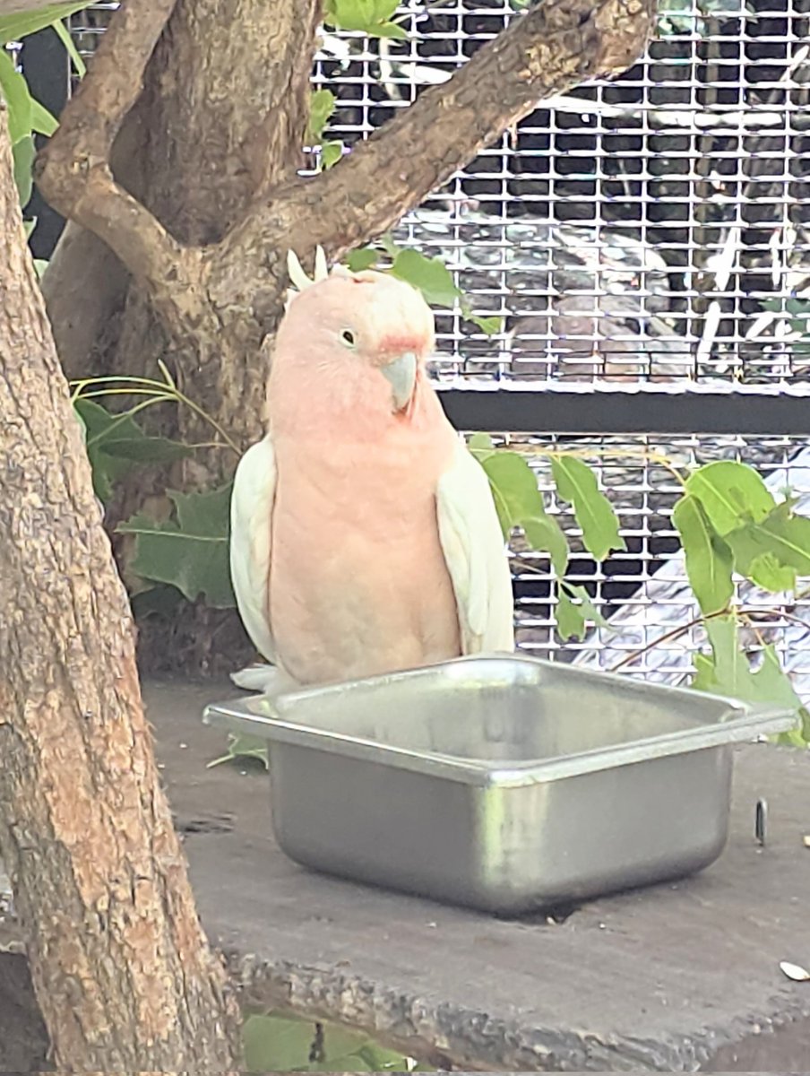 Hurdy Gurdy Travel Podcast tweet media