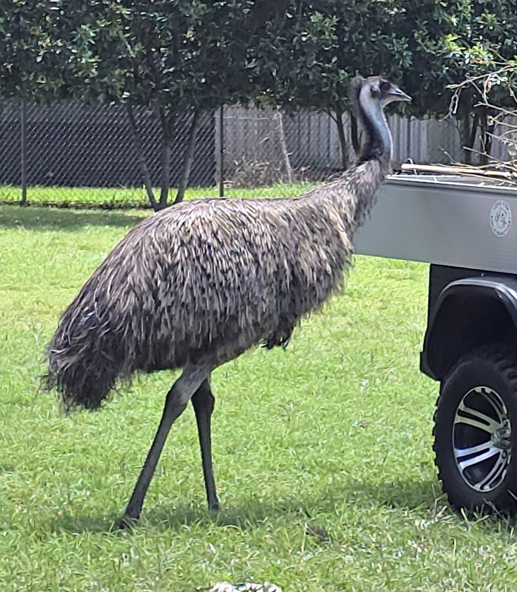 Hurdy Gurdy Travel Podcast tweet media