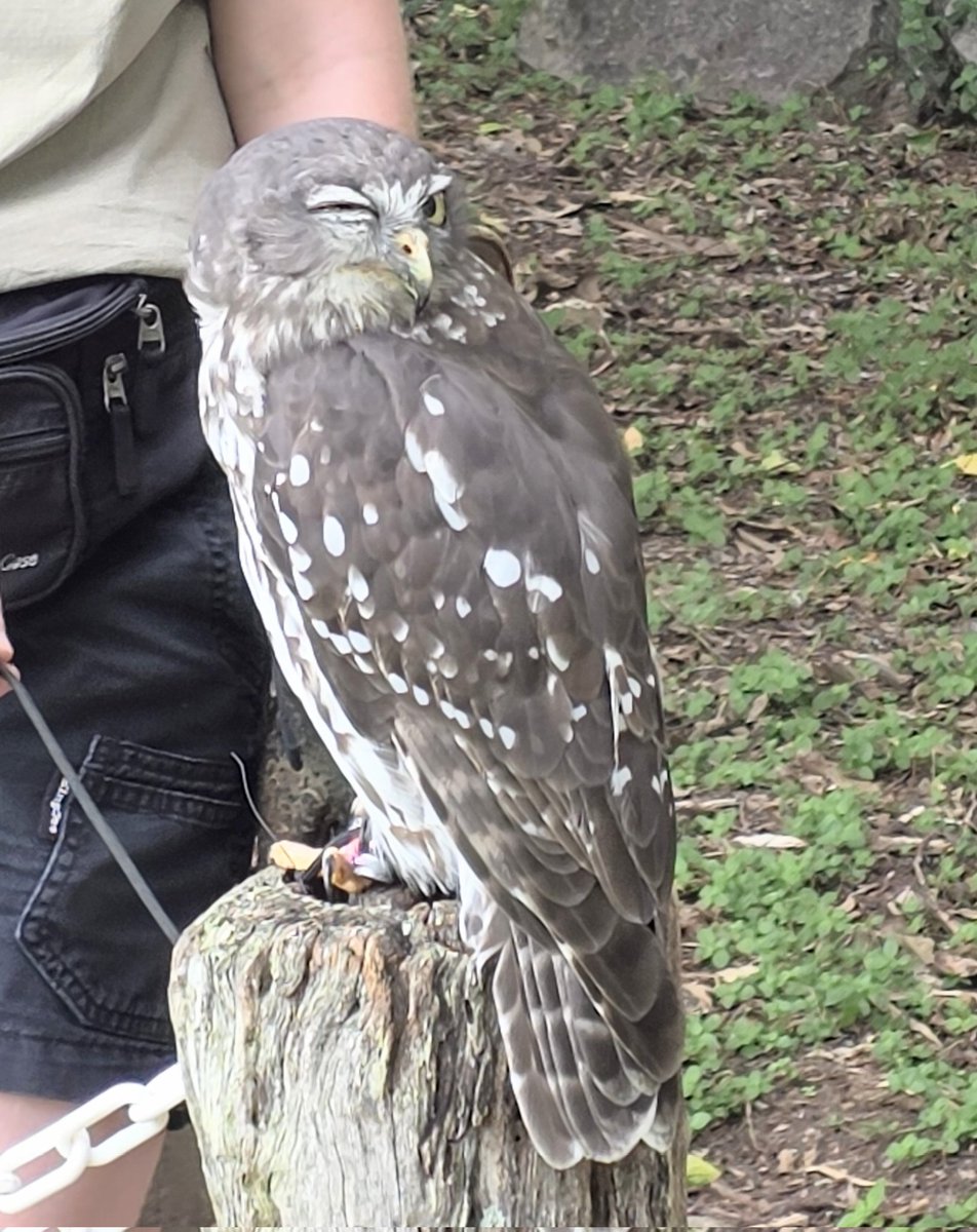 Hurdy Gurdy Travel Podcast tweet media