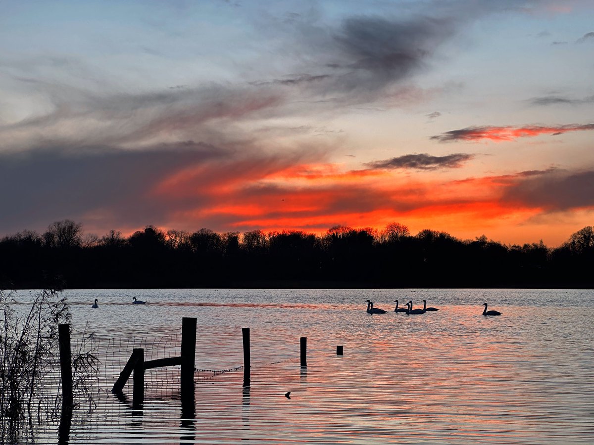 Sharon Welby📷 tweet media