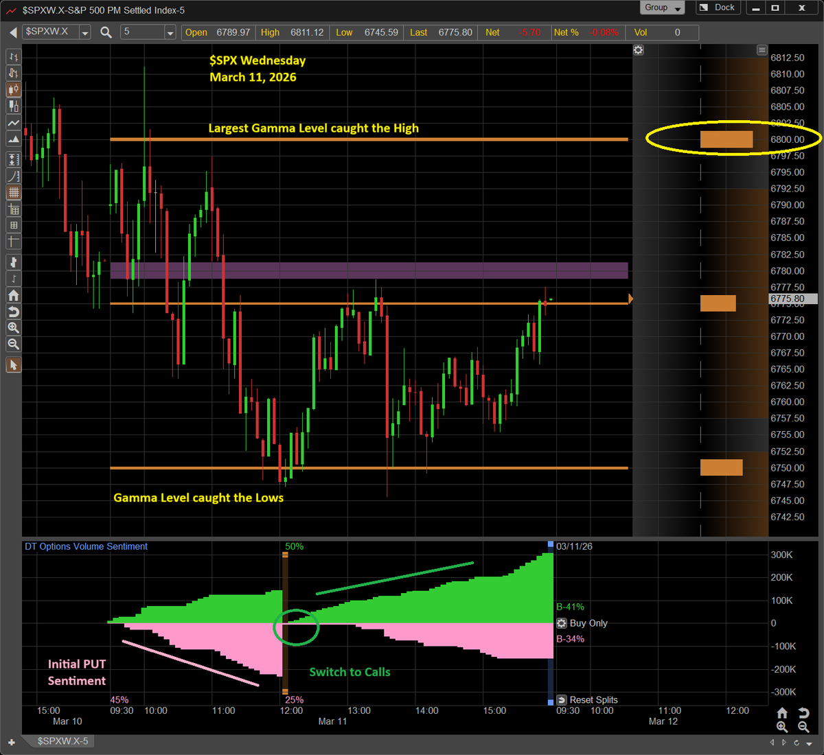 Dynamic Trend tweet media