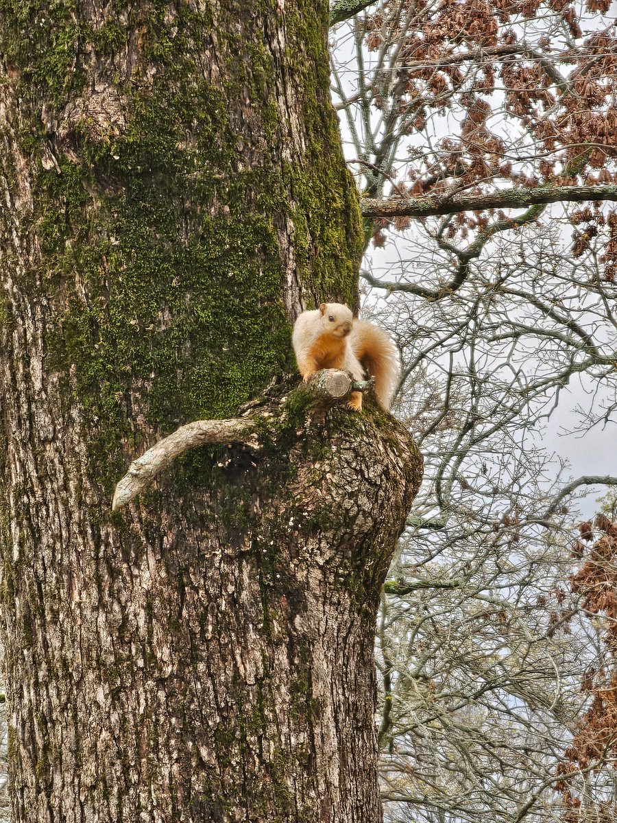 Oklahoma State Parks ⛺️ tweet media