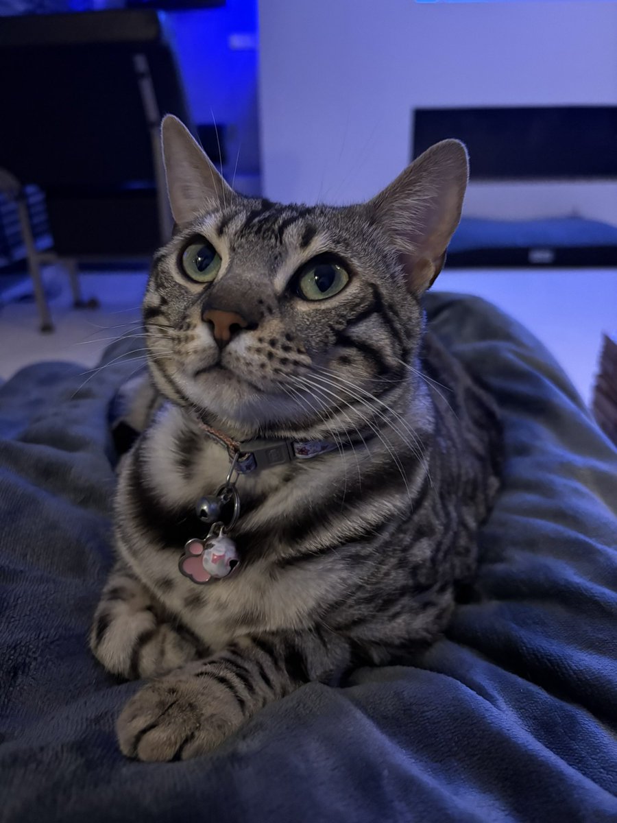 Marcel van Trier tweet media