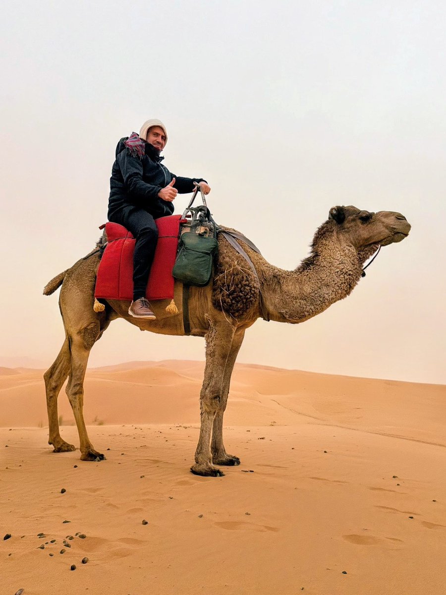 Craig Considine tweet media