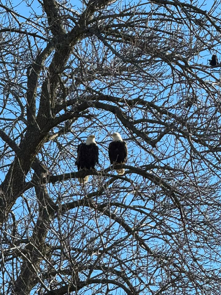 WISN 12 NEWS tweet media