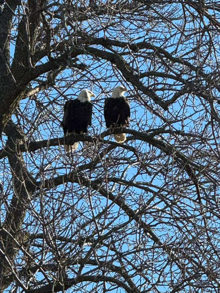 WISN 12 NEWS tweet media