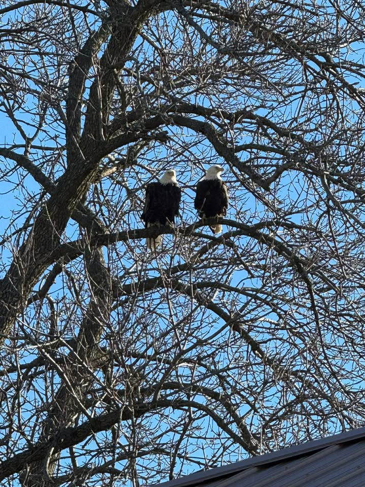 WISN 12 NEWS tweet media