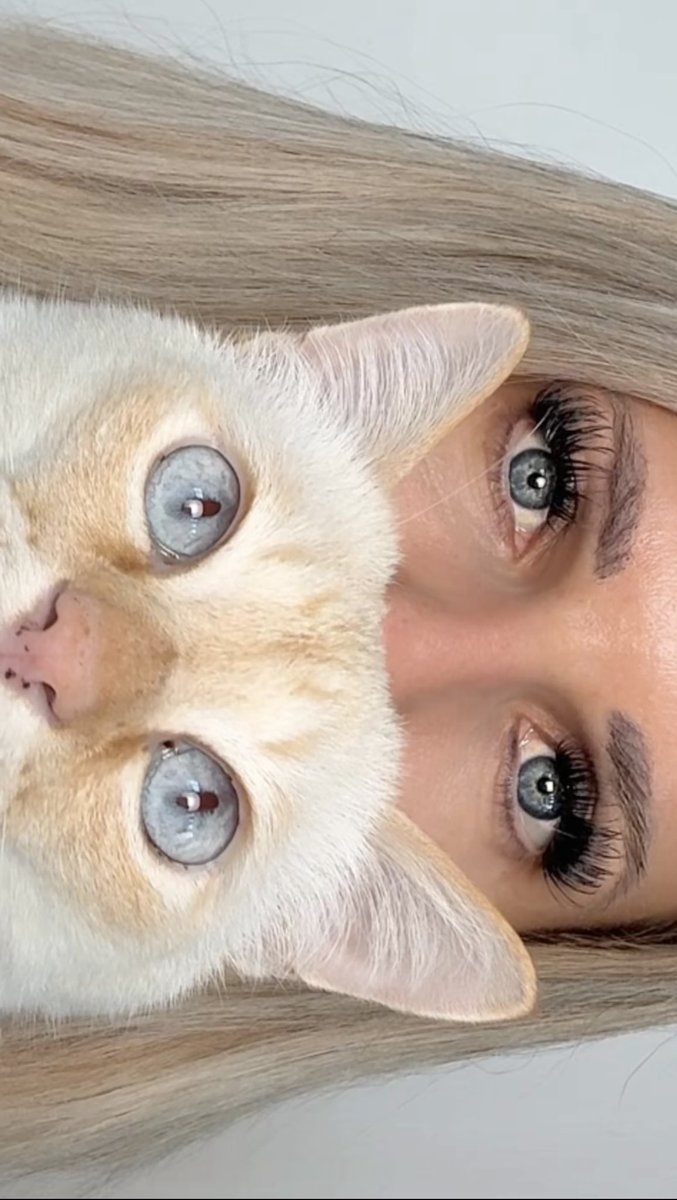 Julietta Sanchez tweet media