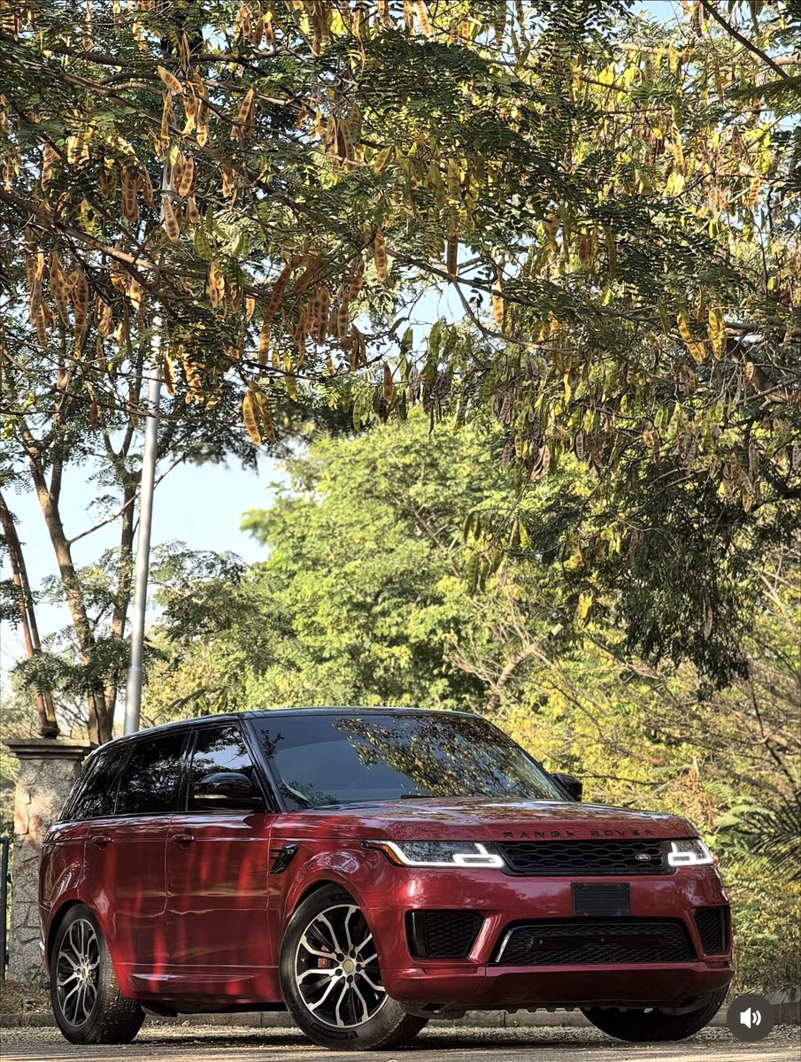 Mayor Of Ekiti tweet media