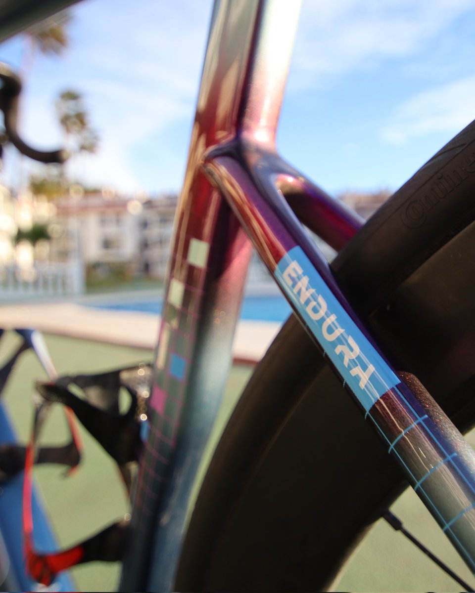 Torres - Sobato tweet media