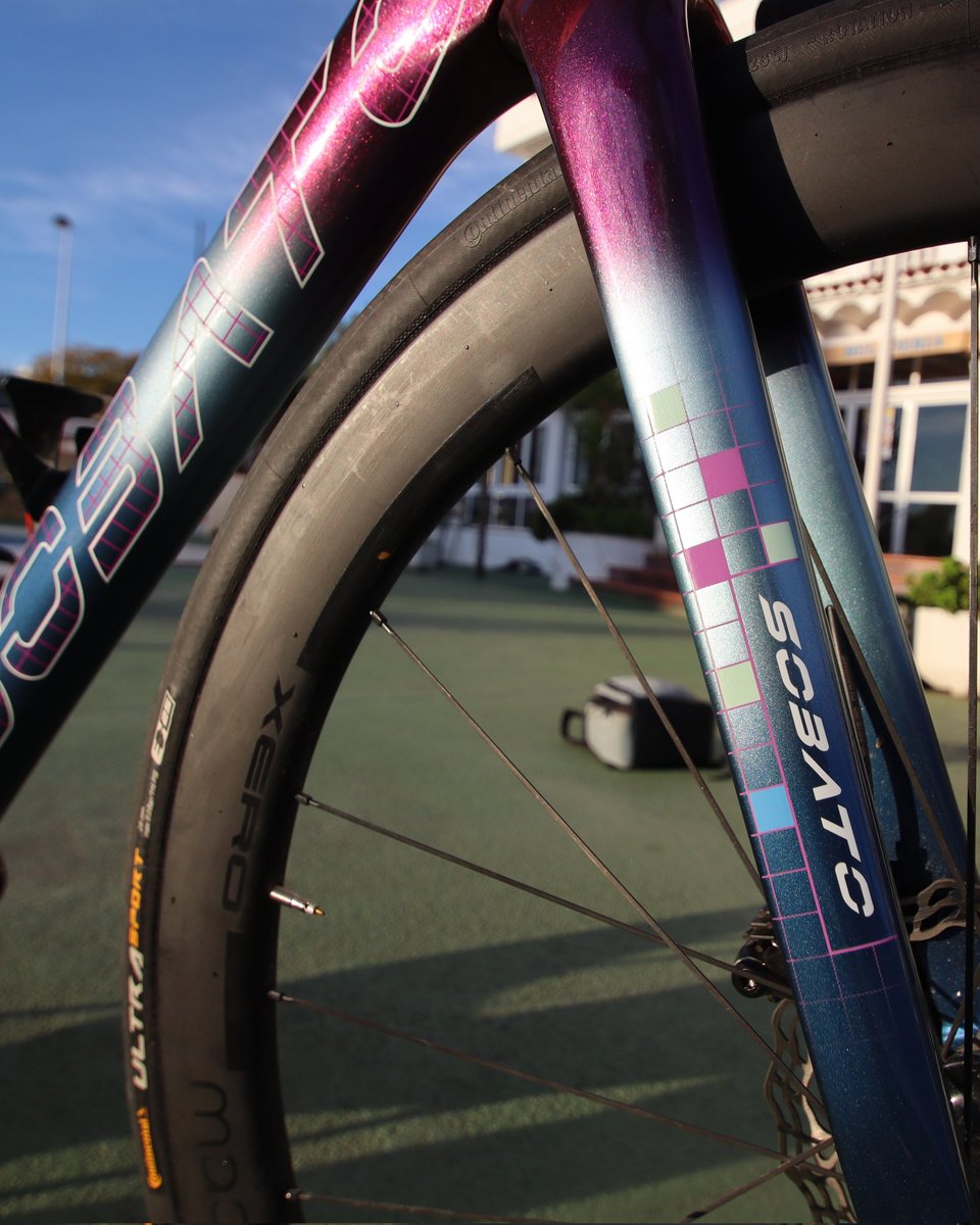 Torres - Sobato tweet media