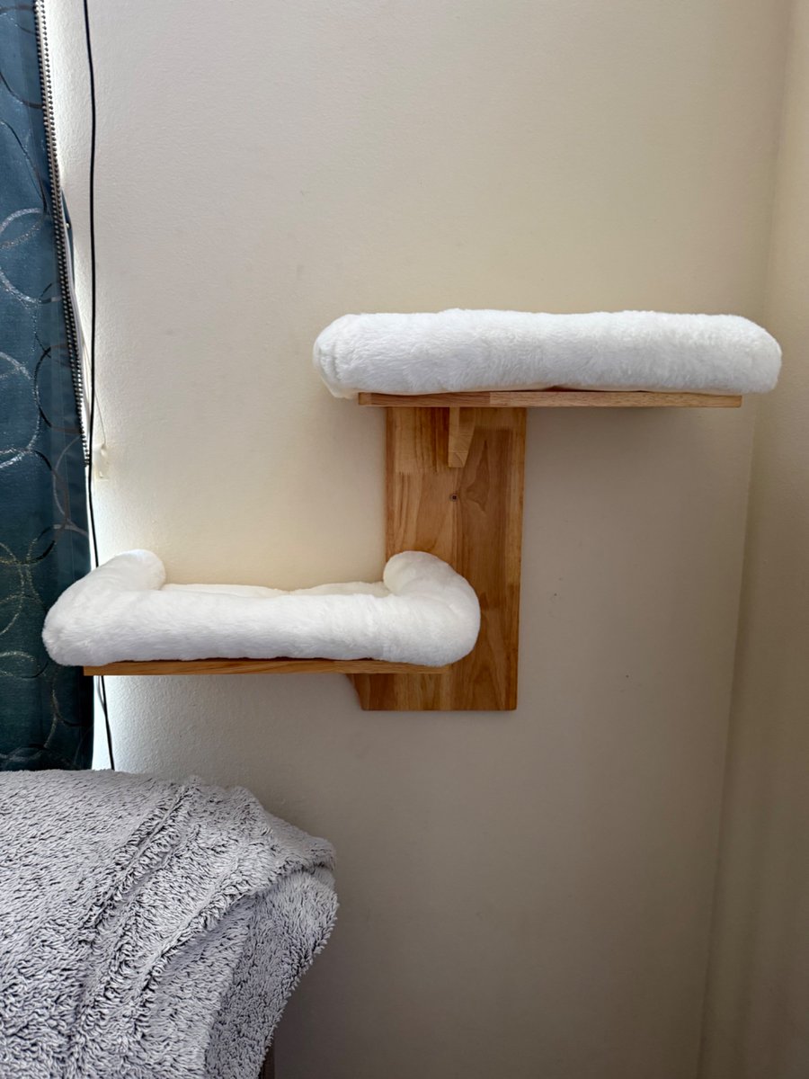 Alana Evans XBIZ BEST MILF CAM Winner!! tweet media