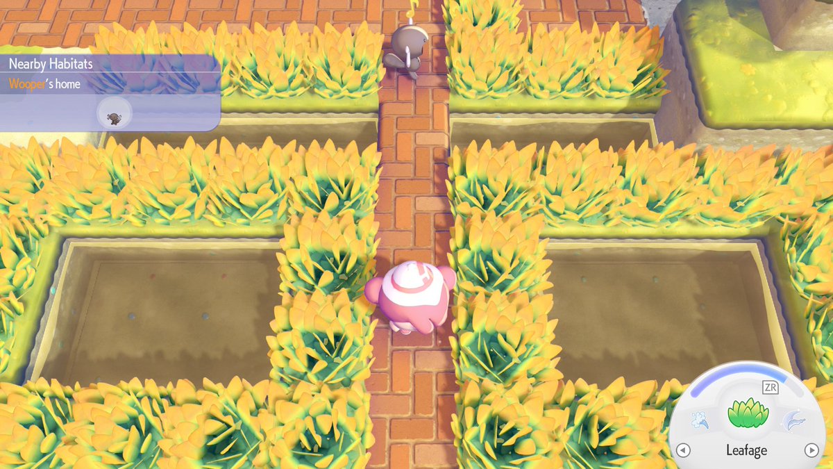 Taylor 💛🦌 tweet media