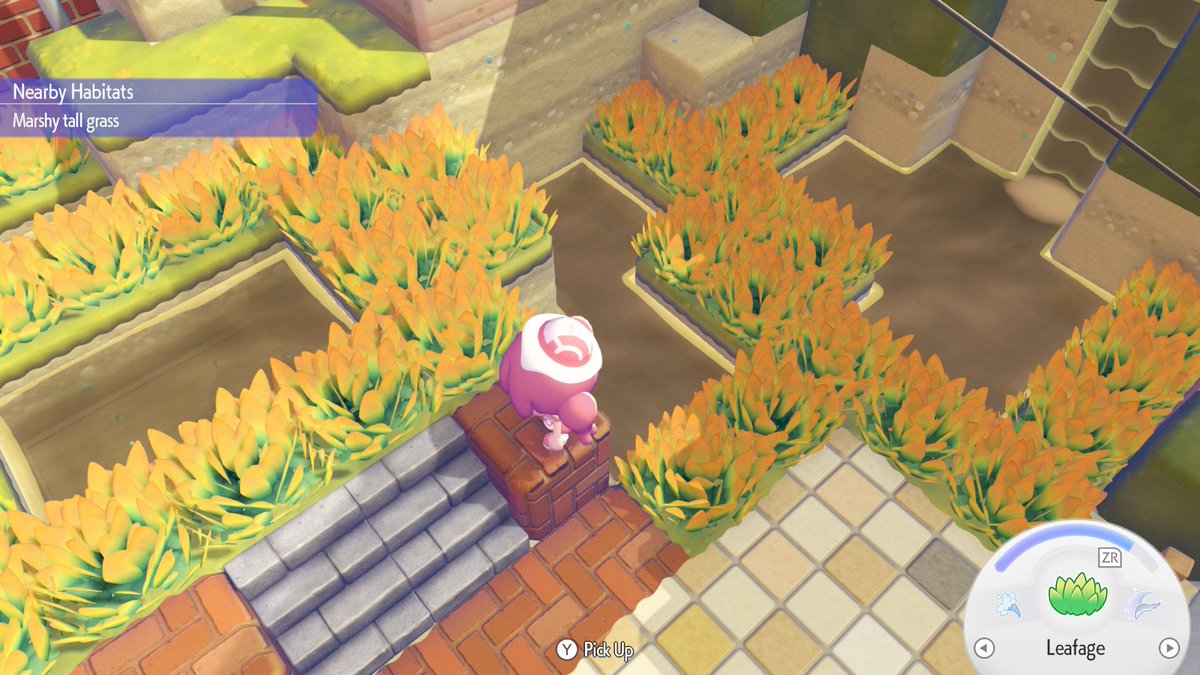 Taylor 💛🦌 tweet media