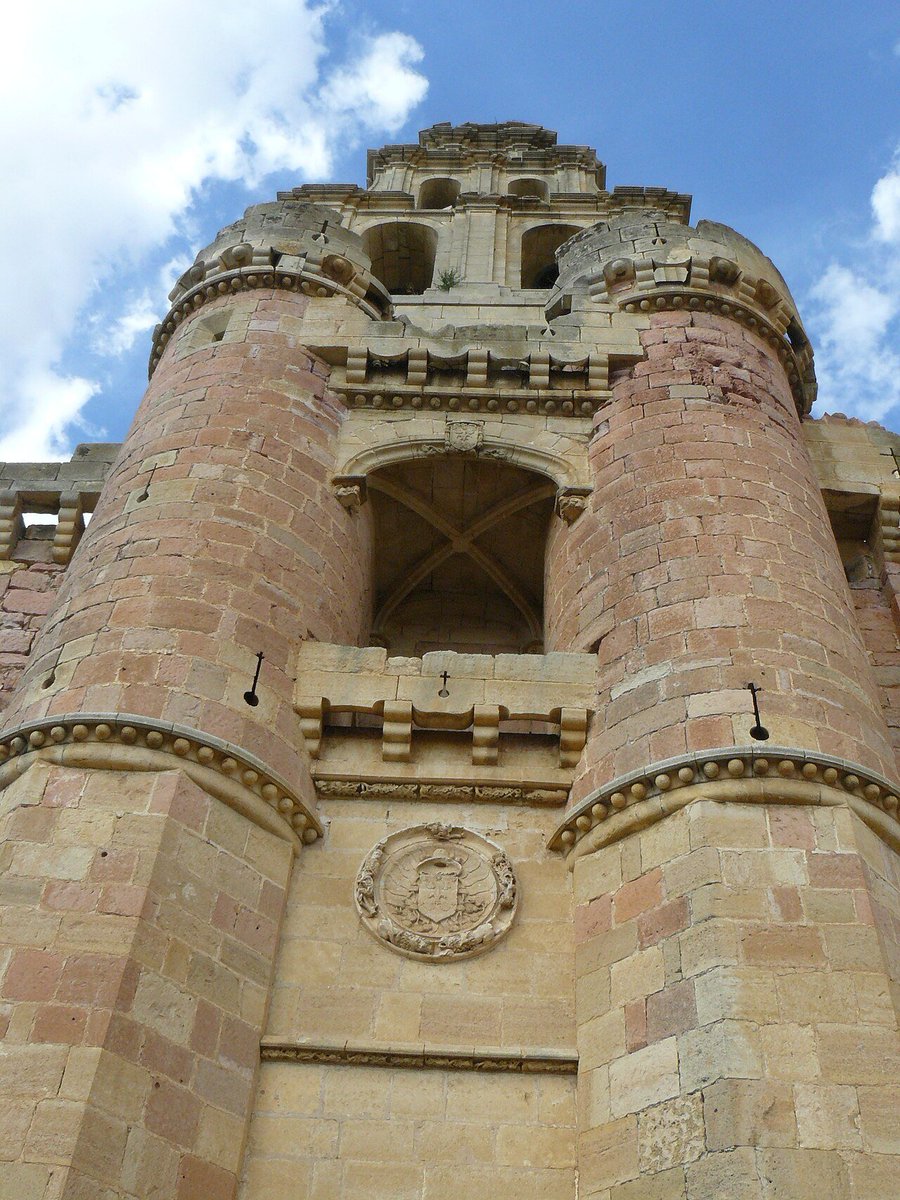 Campo Amarillo 🌾 tweet media