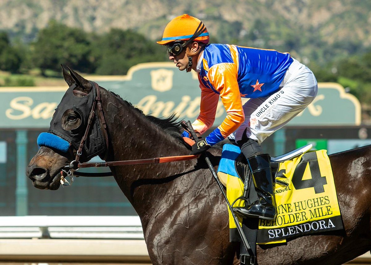 Racing Stats & Info tweet media