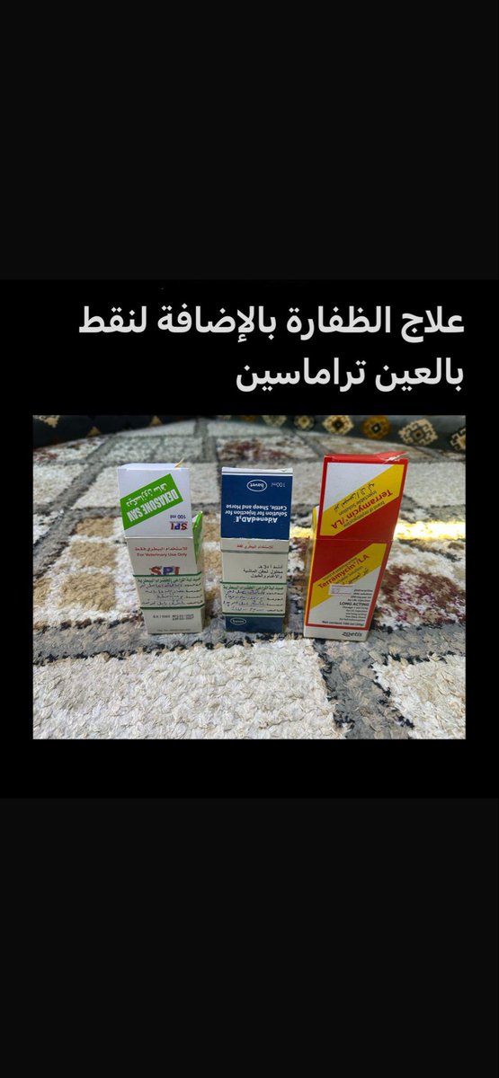 ابو فيصل القريني🇸🇦 tweet media