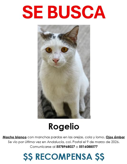 UH Plateros tweet media