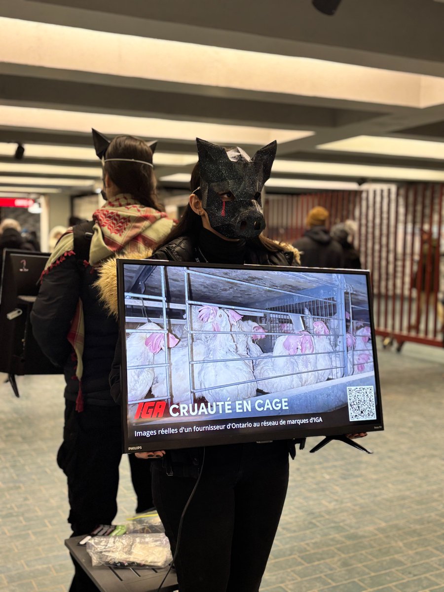 Animal Justice tweet media