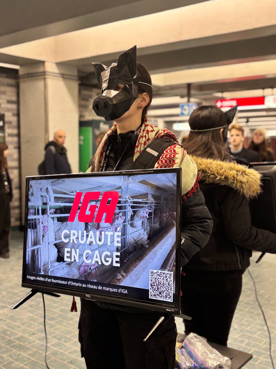 Animal Justice tweet media