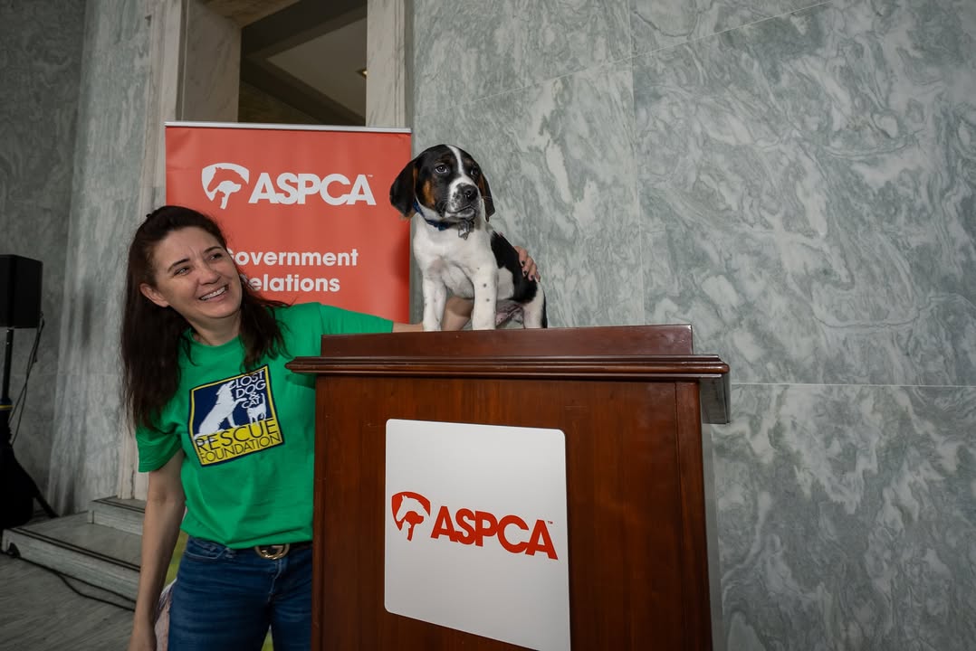 ASPCA tweet media