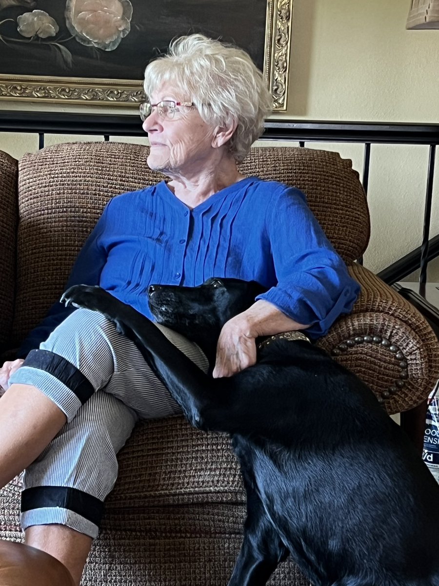 Tower Systems tweet media