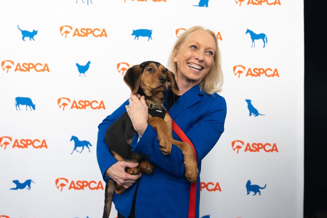 ASPCA tweet media