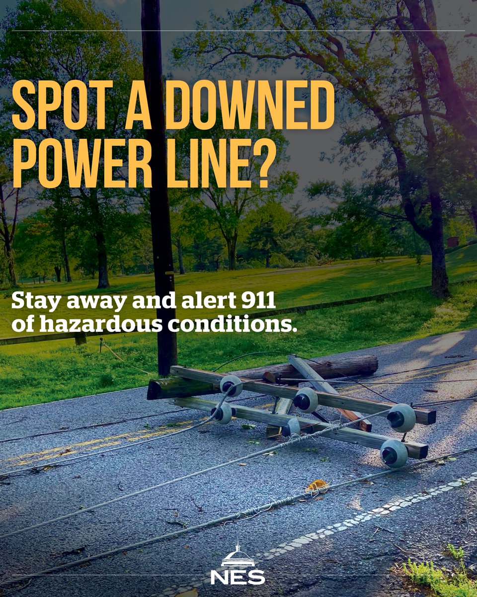 Nashville Electric Service tweet media