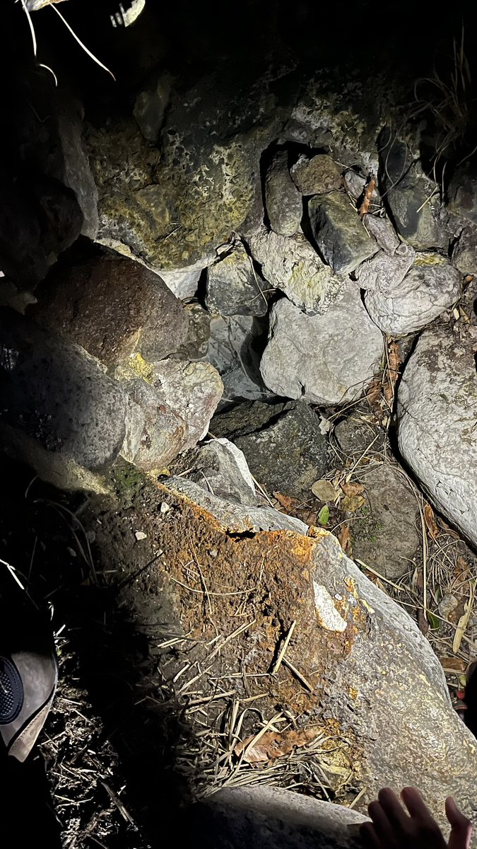 ちゃも tweet media