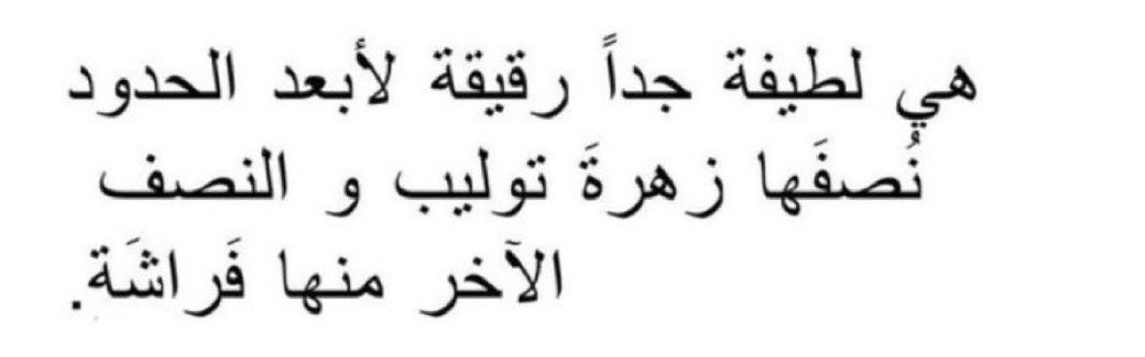 3uzlla's tweet photo. https://t.co/Ci4WmTss6f