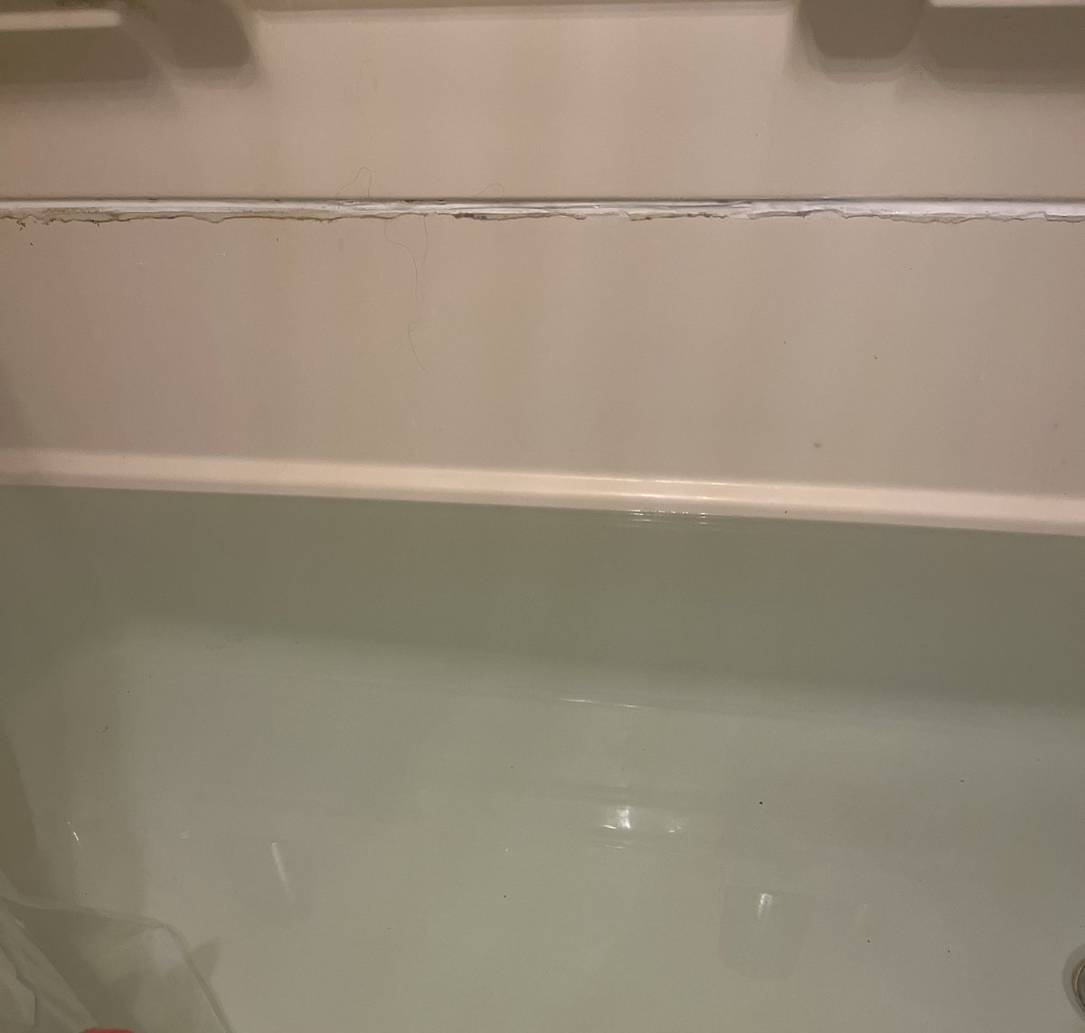 Lollie Pop 🍭🎪 | Candy Clown Lewdtuber tweet media