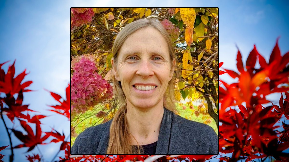 InsMedSoc's tweet photo. An Introduction to Insight Dialogue with Nicola Redfern begins tomorrow 🌻Online | Thursdays, March 12 &amp; 26. Awakening is not a solo endeavor. Explore practice unfolding in relationship—with ourselves, with one another, &amp; with the world. Join here: https://t.co/9Brh5HWEbW https://t.co/8HswuyYKpt