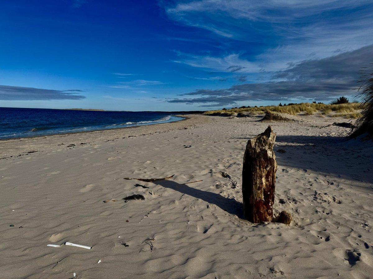 Shane Travill tweet media