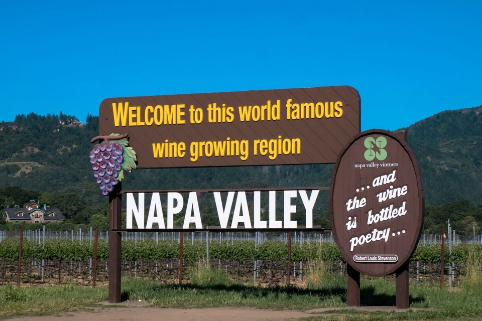 Alexander Repty tweet media