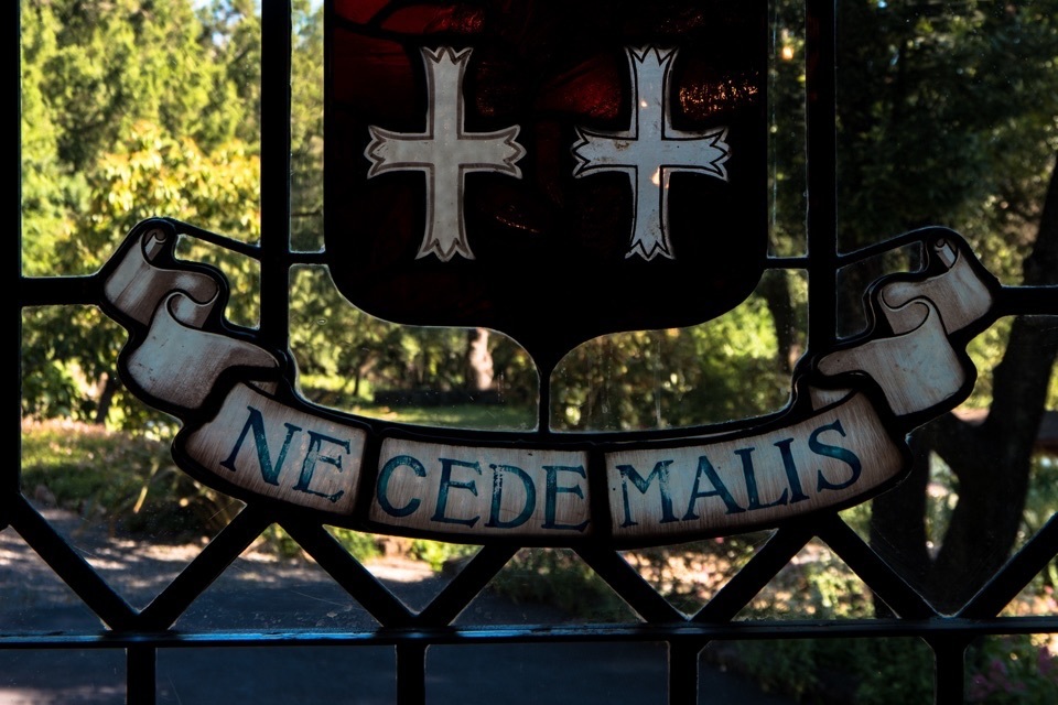 Alexander Repty tweet media