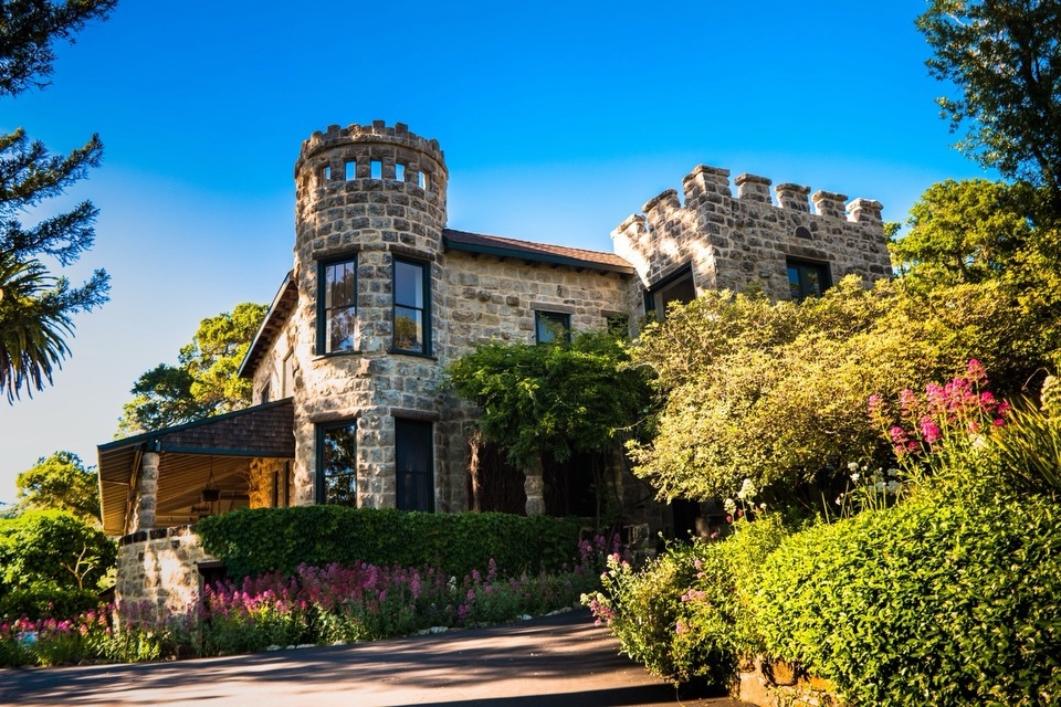 Alexander Repty tweet media