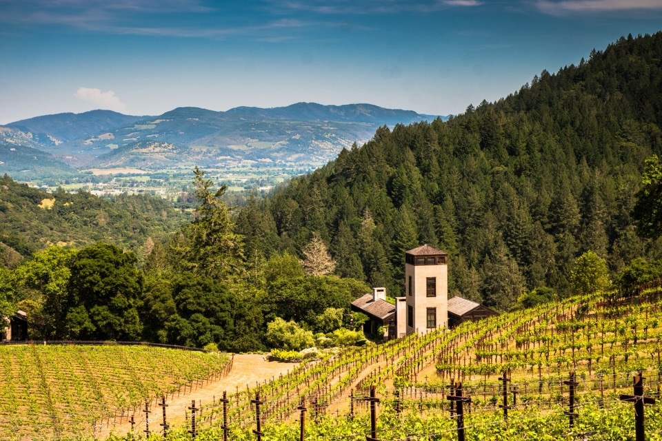 Alexander Repty tweet media