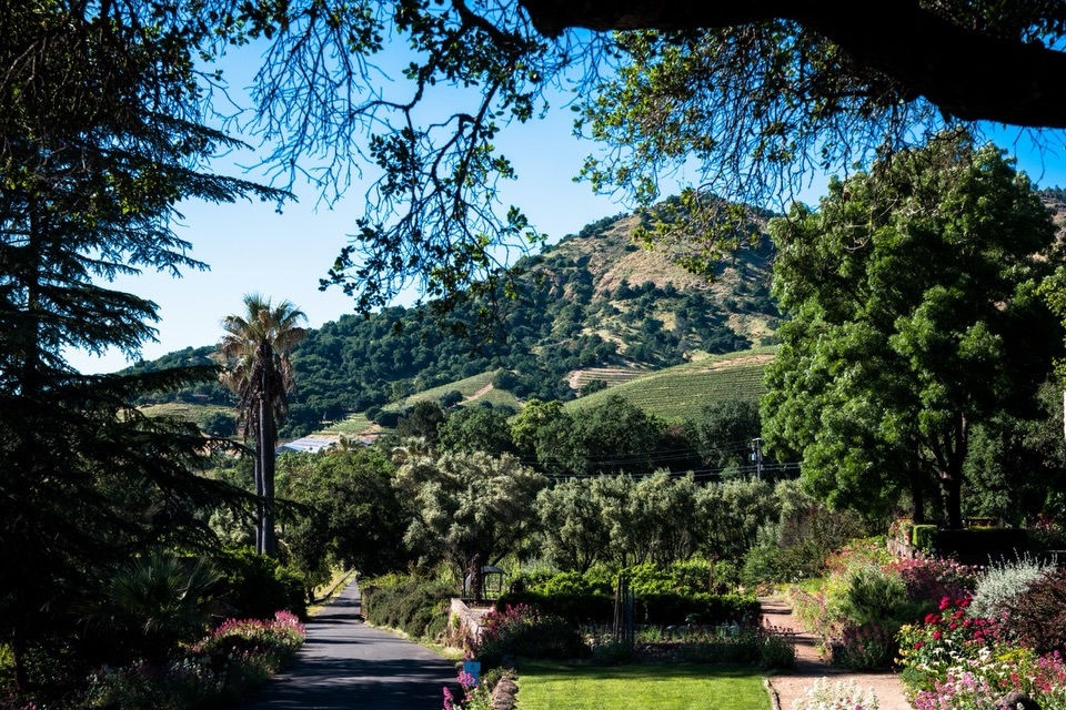 Alexander Repty tweet media