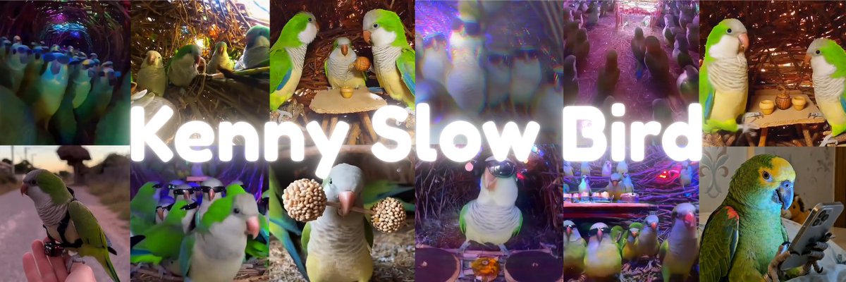 I think i have just found the runner for March..

I was scrolling instagram and seen a viral video of a parrot with a gopro on: instagram.com/reel/DU9WVOpDO…

This video has gained over 120m views and 5.5m likes..

Since i watched this video, Kenny has been all over my feeds and his
