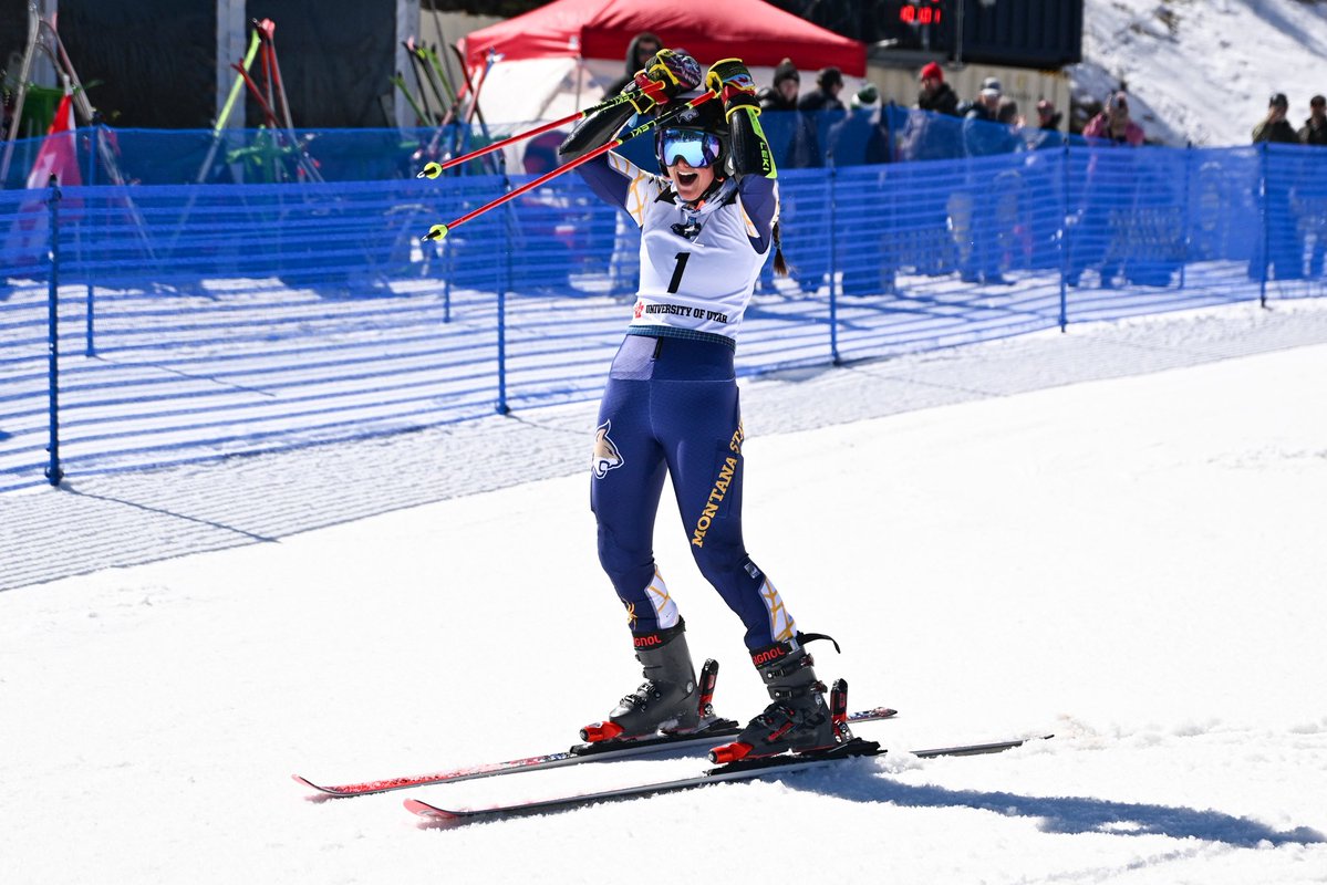 Montana State Bobcats tweet media