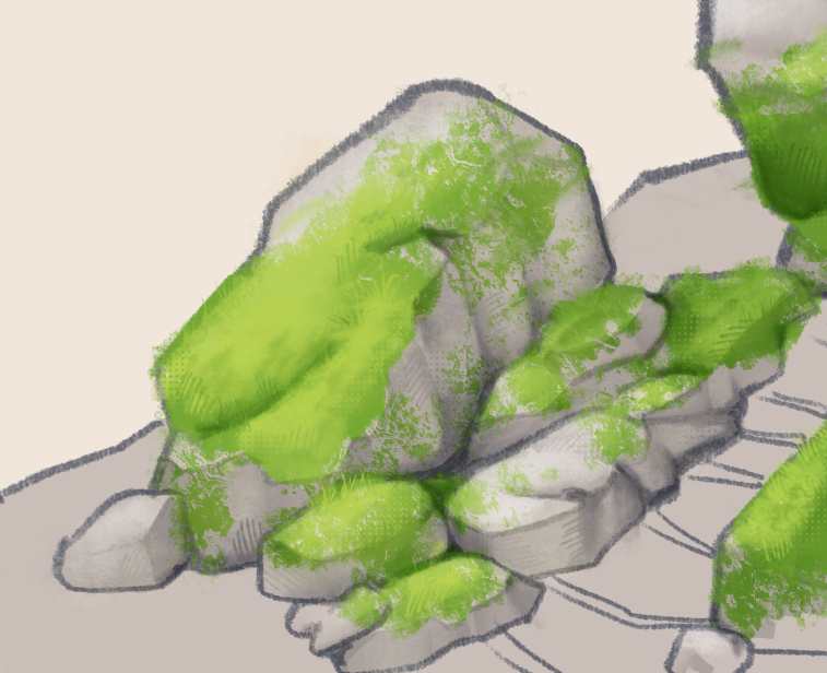 🌿 𝓐𝔪𝒆𝓈🌿 tweet media