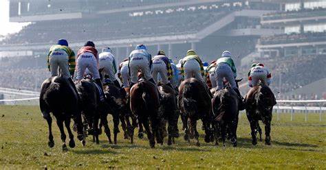 🐦Pigeon🐎Island🐦 tweet media