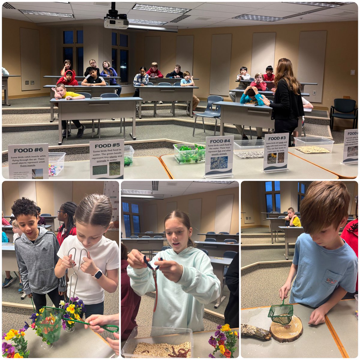 Dani Dobbins tweet media