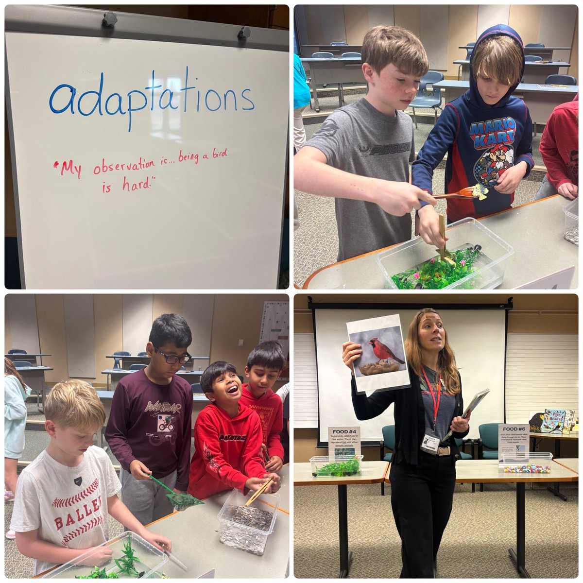 Dani Dobbins tweet media