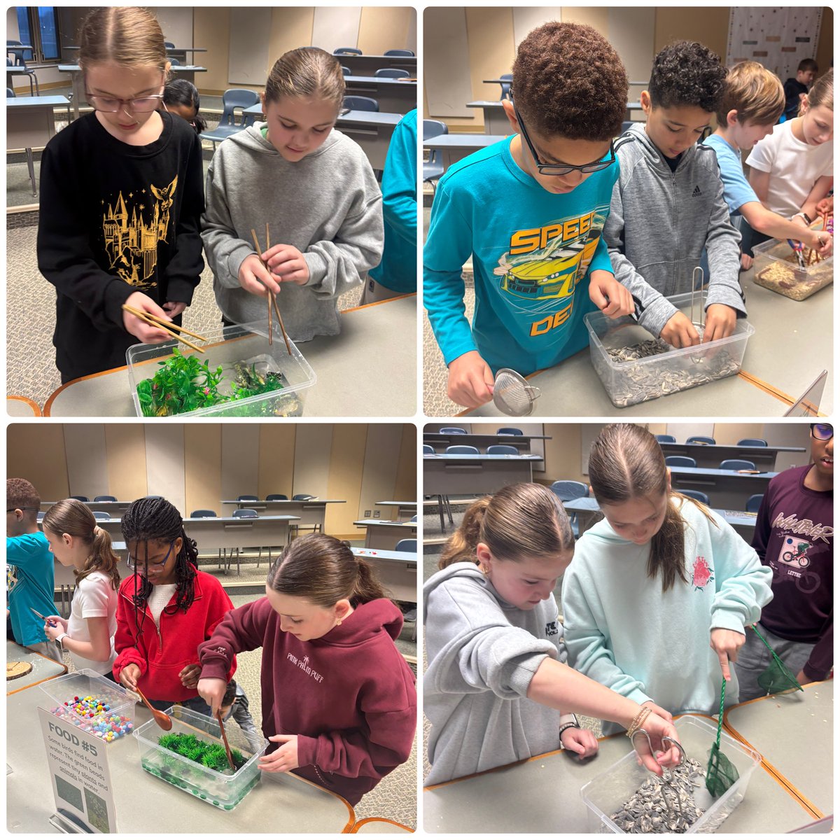 Dani Dobbins tweet media