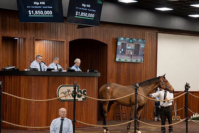 Justify👑 tweet media