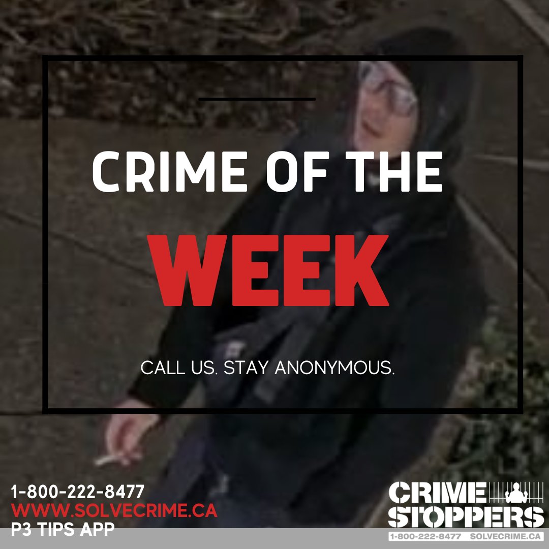 Crime Stoppers tweet media