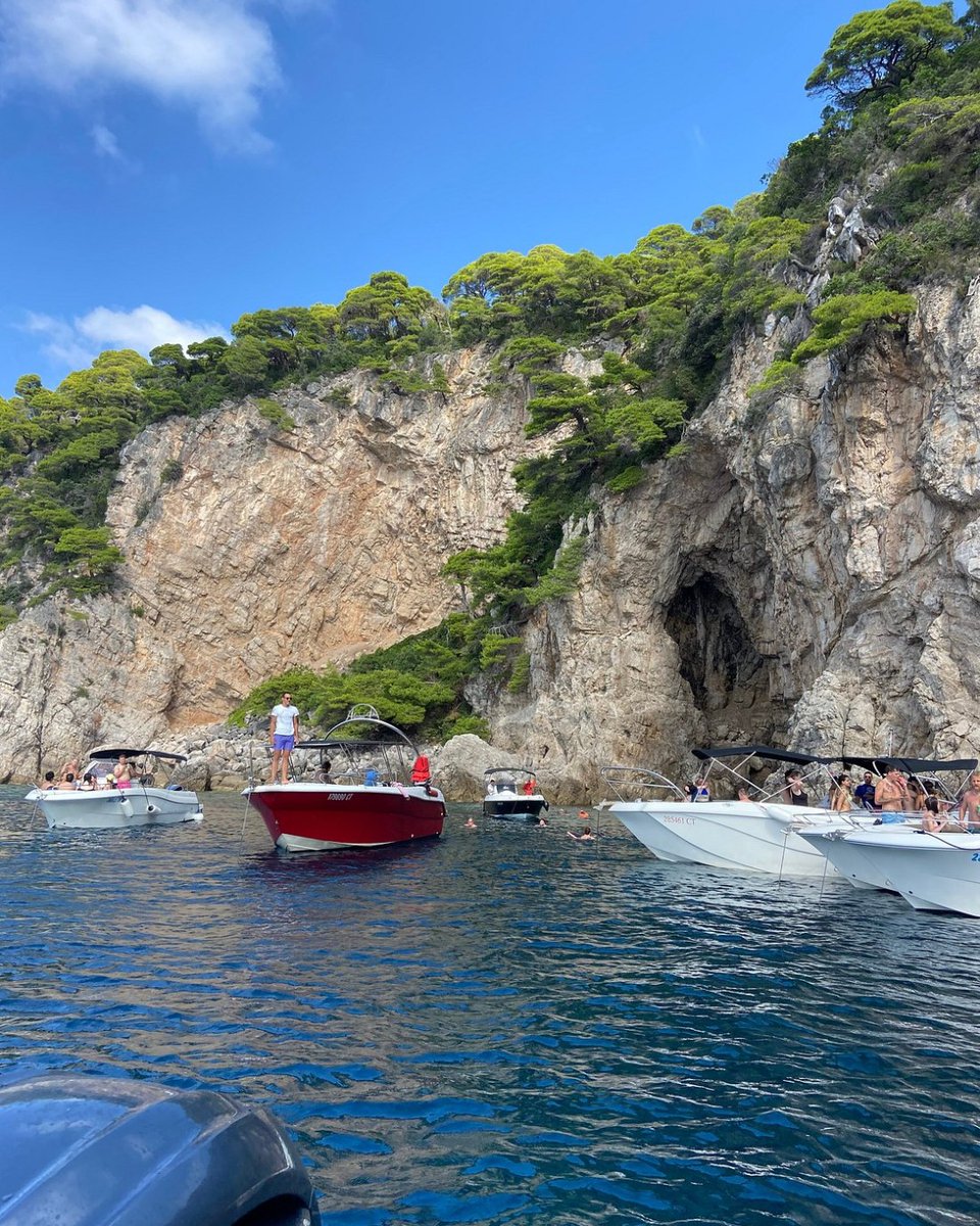 Tripadvisor tweet media